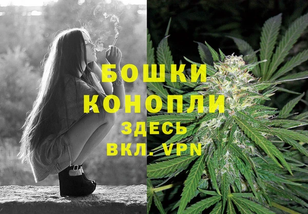 гашишное масло Гусиноозёрск