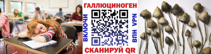 Купить где  Тобольск  Псилоцибиновые грибы Cubensis 